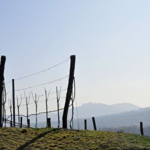 Weltkulturerbesteig Wachau - Loibn