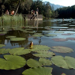 Möserer See, Mösern / Telfs, Tirol