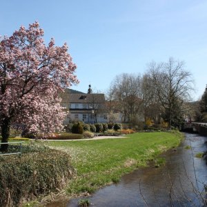 Parkanlage bei der Stadthalle