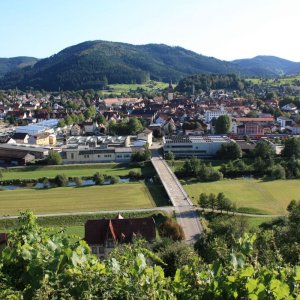 Blick vom Gemsbühl auf Haslach