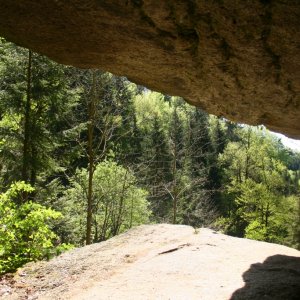 Stillensteinklamm in Grein