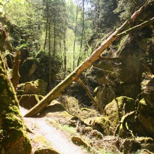 Stillensteinklamm in Grein