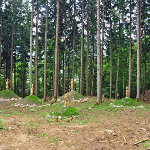 Gräberfeld auf der Gurina - Dellach im Gailtal (Kärnten)