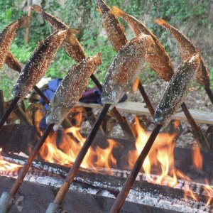 Ahrenberger Kellergassenfest - Steckerlfisch