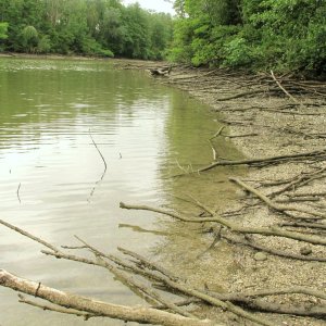 Nieder- weil Hochwasser