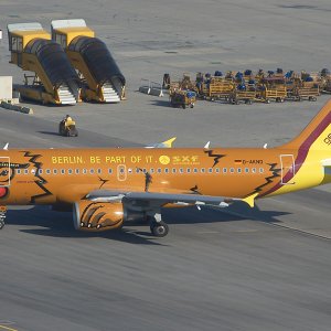 Medium 'Berliner Bär' in der Kategorie 'Flugzeuge'