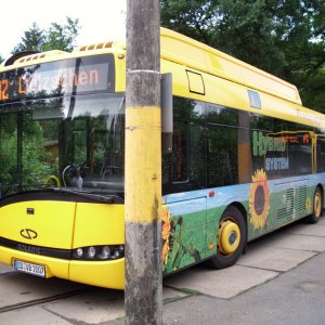 Solarishybridbus_Dresden