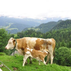 Frühstück neben dem 'Hofwanderweg' in Arriach