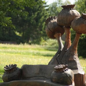 Mohndorf Armschlag im Waldviertel