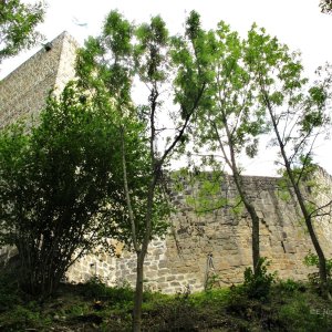 Ruine Windegg