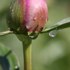 nach dem Regen