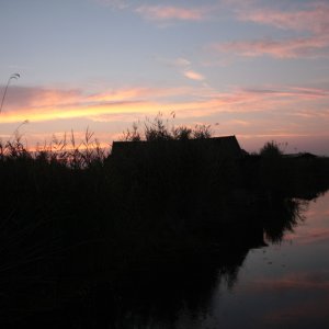 Neusiedlersee