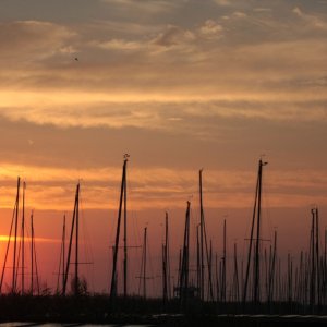 Neusiedlersee