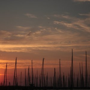 Neusiedlersee