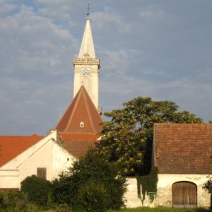 Rust am Neusiedlersee