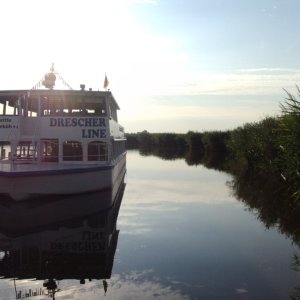 Rust am Neusiedlersee