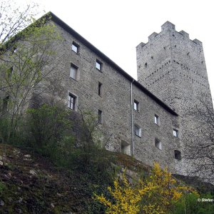 Burg St. Petersberg