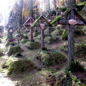 Soldatenwaldfriedhof Bruneck