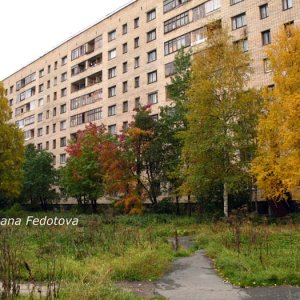 Herbst in Archangelsk