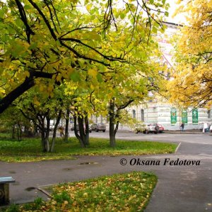 Herbst in Archangelsk