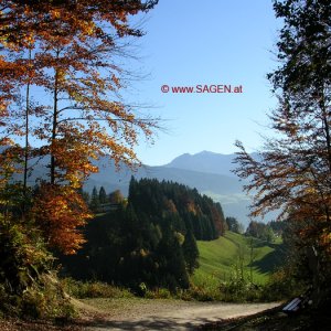 Herbst in Tirol