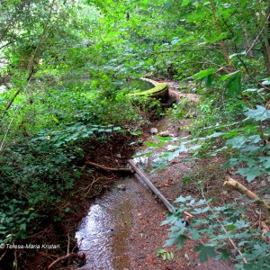 Im Areal der Quelle Andritz-Ursprung