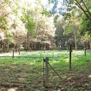 Lagerfriedhof