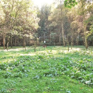 Lagerfriedhof