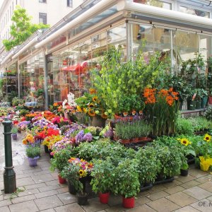 Kutschkermarkt