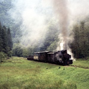 Waldbahn Viseu de Sus