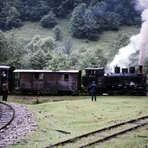 Waldbahn Viseu de Sus