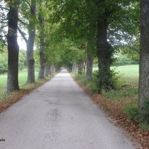 Weg zum Friedhof Heiligenkreuz