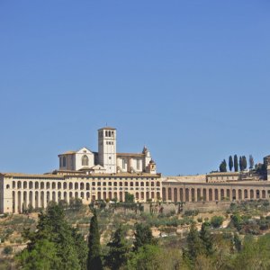 Basilika San Francesco - Assisi