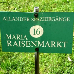 Wallfahrtskirche Maria Raisenmarkt- als Teil der Allander Spaziergaenge