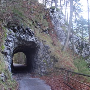 Ruine Gallenstein