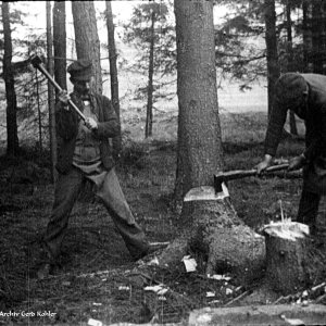 Holz fällen 1930