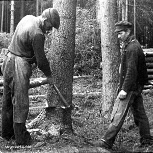 Holz fällen 1930