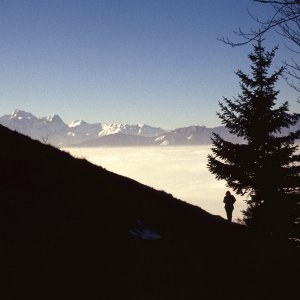 Beim Bergwandern in den Alpen