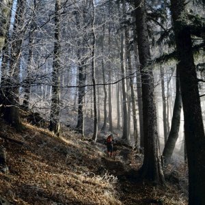 Beim Bergwandern in den Alpen