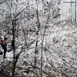 Beim Bergwandern in den Alpen