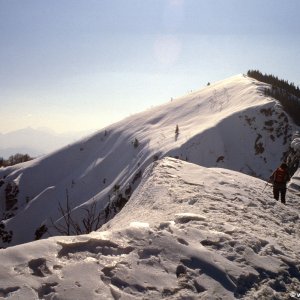 Beim Bergwandern in den Alpen