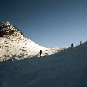 Beim Bergwandern in den Alpen