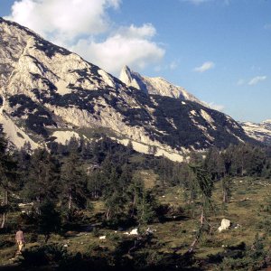 Beim Bergwandern in den Alpen