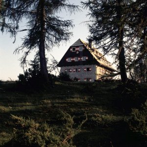 Beim Bergwandern in den Alpen