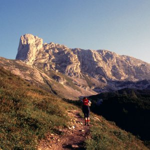 Beim Bergwandern in den Alpen