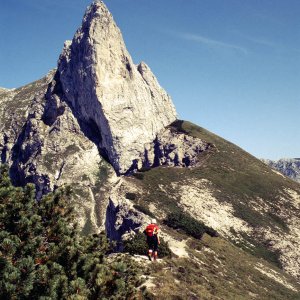 Beim Bergwandern in den Alpen