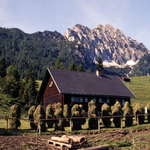 Beim Bergwandern in den Alpen