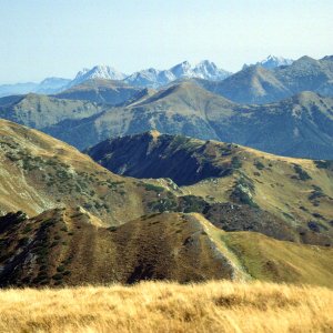 Beim Bergwandern in den Alpen