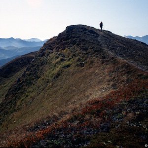 Beim Bergwandern in den Alpen