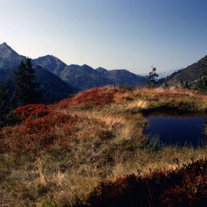 Beim Bergwandern in den Alpen